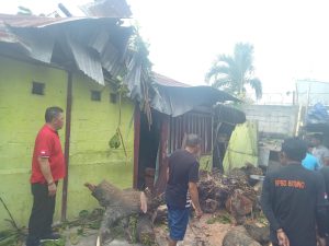 Wakil Ketua DPRD Kota Bitung komisi lll Beno Oktavianus Mamentun Meninjau lokasi Pohon Tumbang Di salah satu rumah warga.