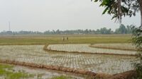 IMG_20260909_050457
